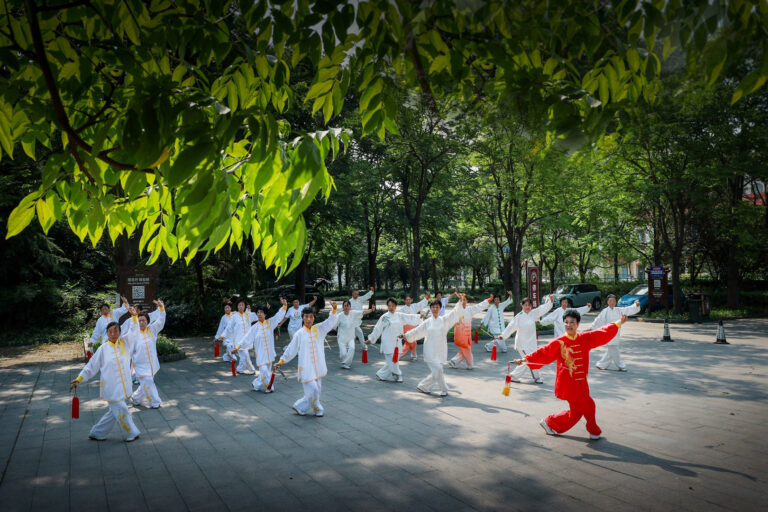 Happiness in Life - Tai Chi Sword in woods